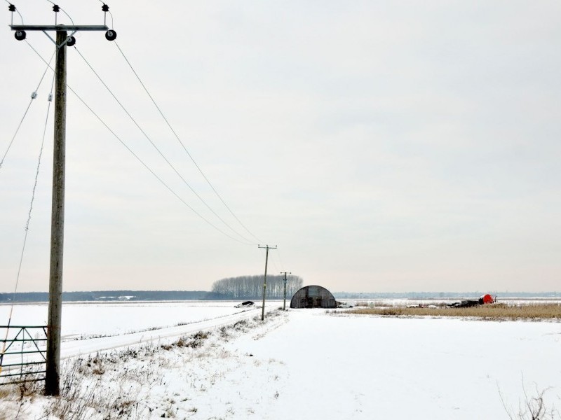 Holme Fen Landscape with Pylons; Nisha Keshav (Artists Respond 2022)